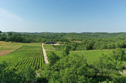 Mas lévigné