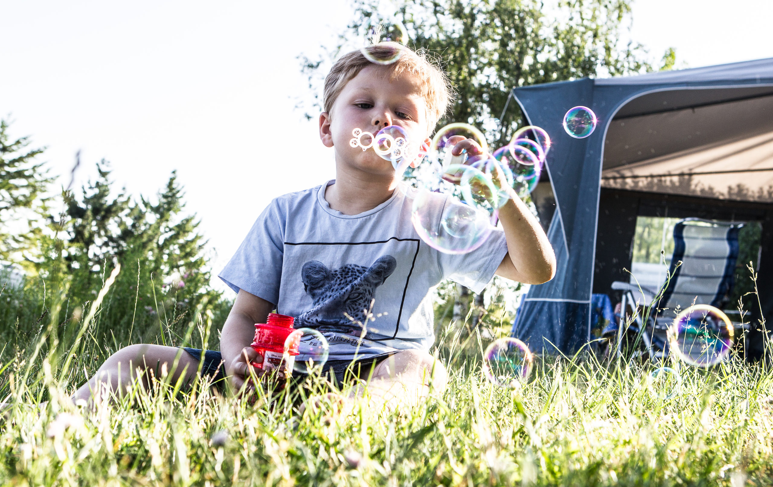 camping lot avec animation
